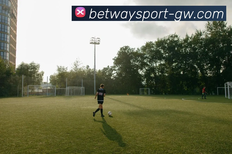 多媒体互动体验